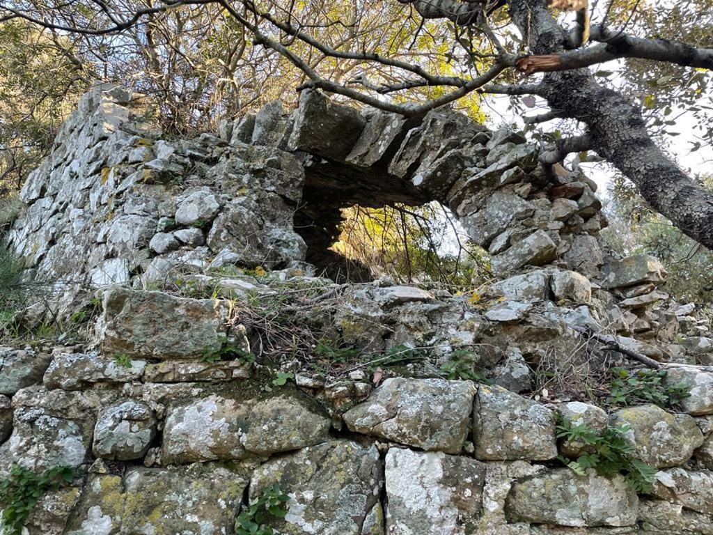 Antica Casa Prile Castiglione della Pescaia Exterior foto